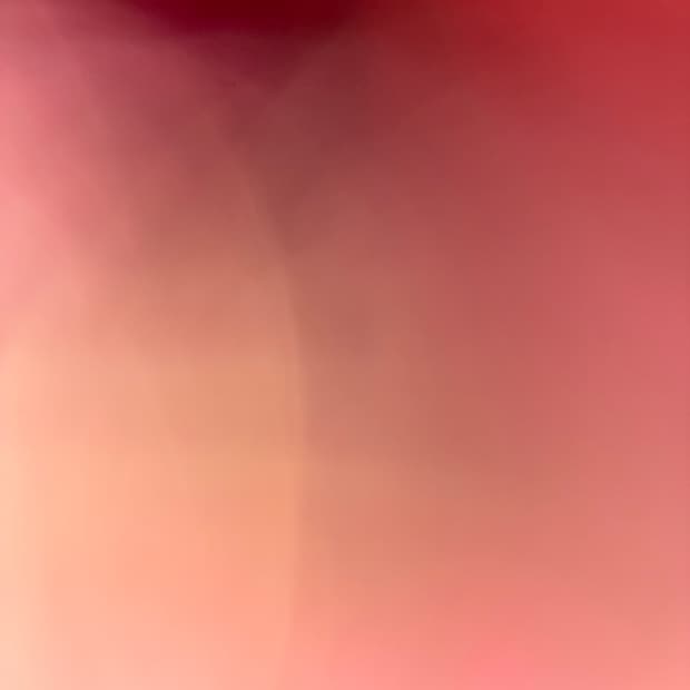 나연님 결제건