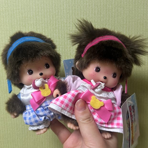 아이돌 베베 치치 