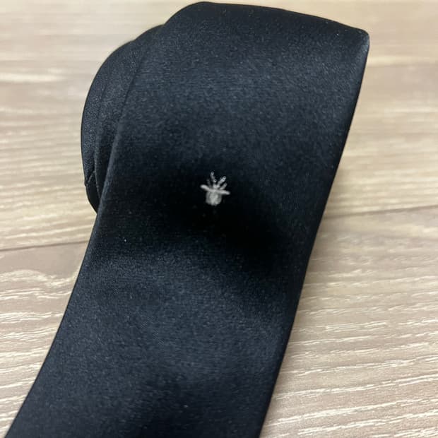 디올 비타이 슬림