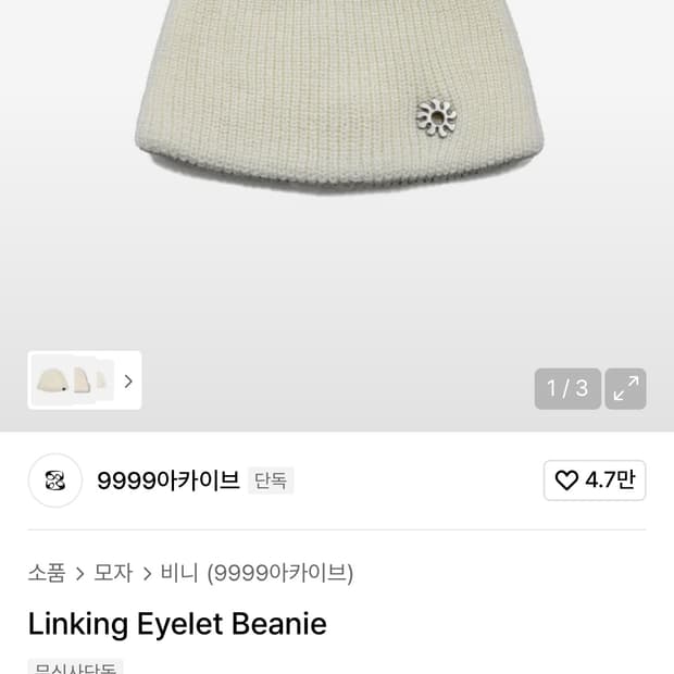 9999아카이브 비니