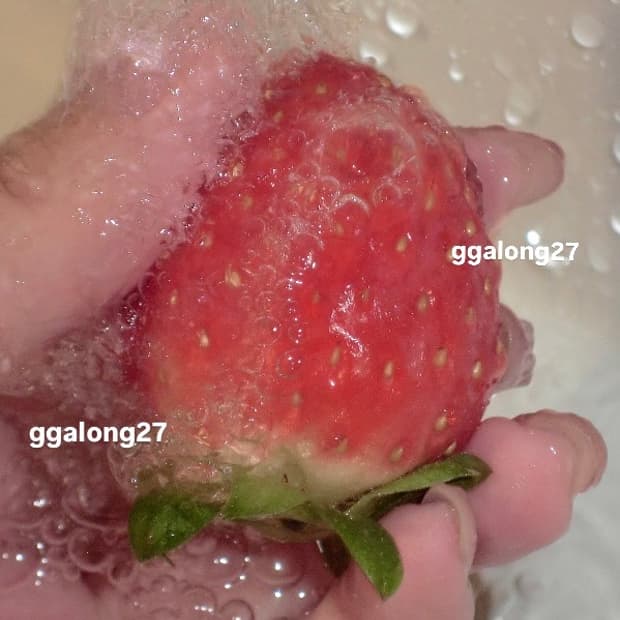 카시오 엑슬림 z2300 디카 아일릿 모카 사용