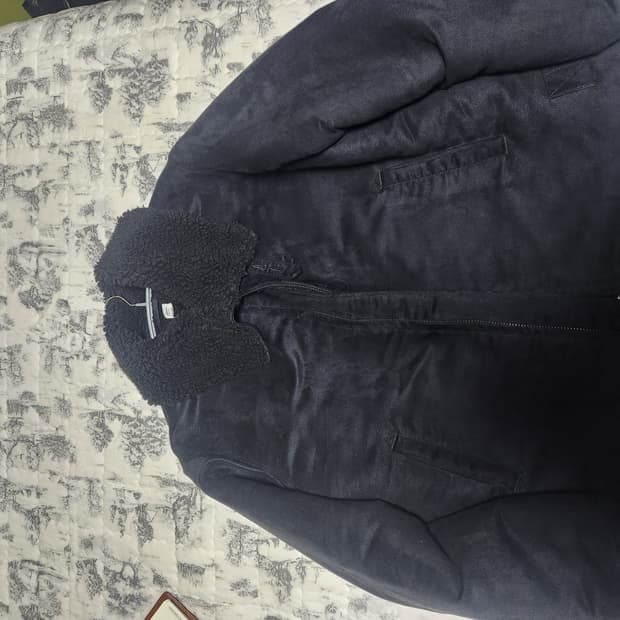 랜디티(네펜데스)