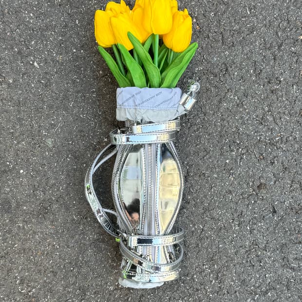 앤더슨벨 바소 백 (silver)