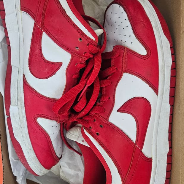 나이키 덩크로우 유니버시티레드 245