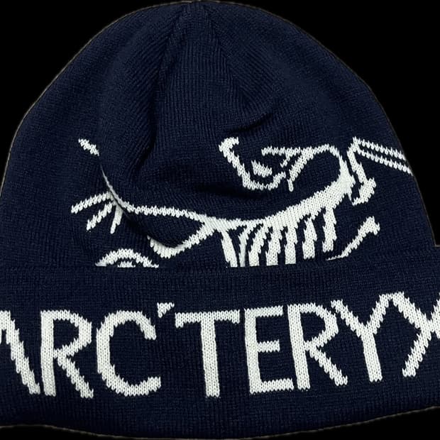 아크테릭스 버드 워드 토크 비니