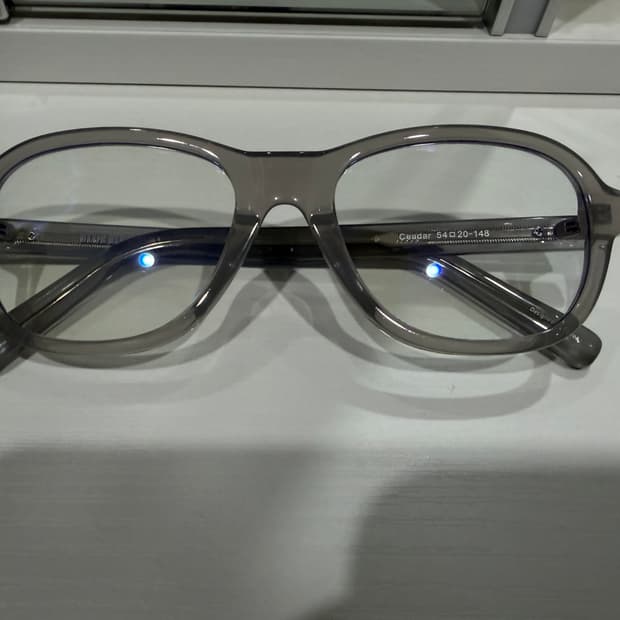 BLUE ELEPHANT 선그라스