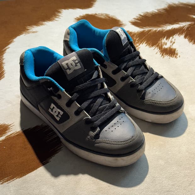 DC SHOES 디씨 스케이트보드화 (265)