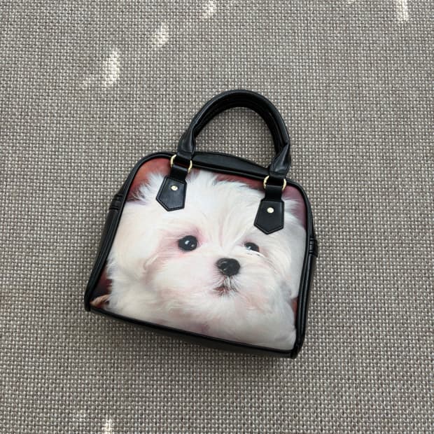 허자보이 강아지 백