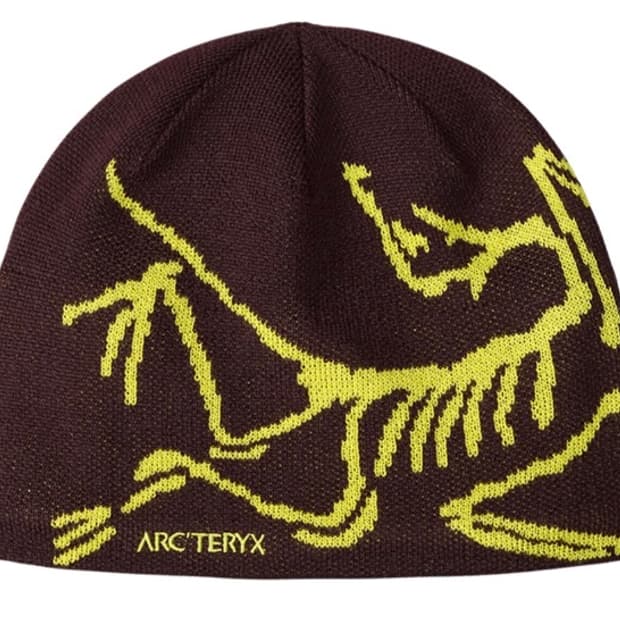 아크테릭스 버드 헤드 토크 판타즘 유포리아