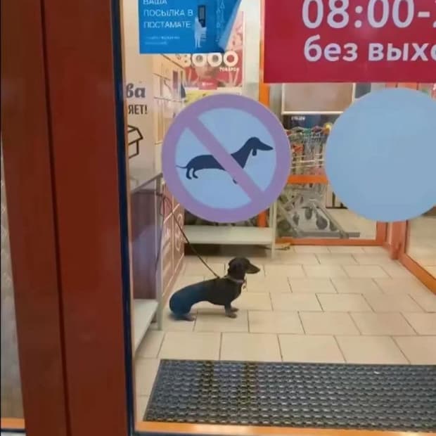 크롬하츠 원 볼 타이니 크로스