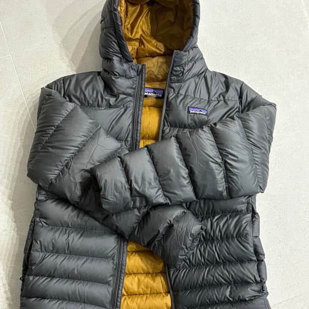 파타고니아 다운스웨터 후디 경량패딩