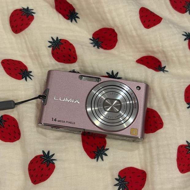 파나소닉 루믹스 Panasonic Lumix Fx66