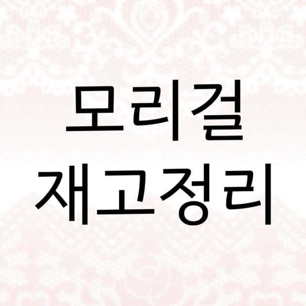 랜덤박스 품질보장 모리걸 아오이유우