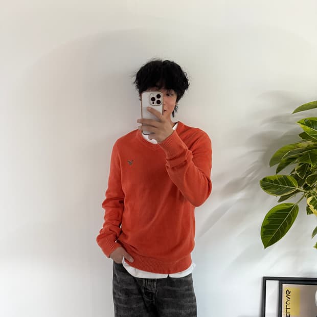 빈티지 아메리칸 이글 니트