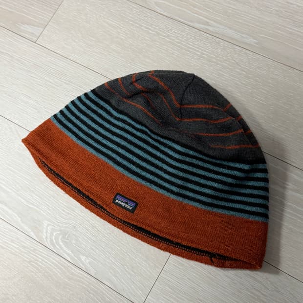 파타고니아 비니