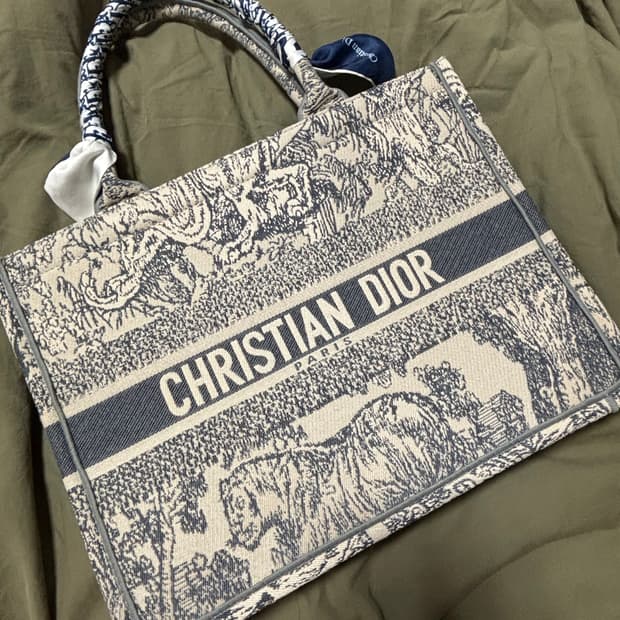 [새제품] 디올 북토트 북도트 그레이