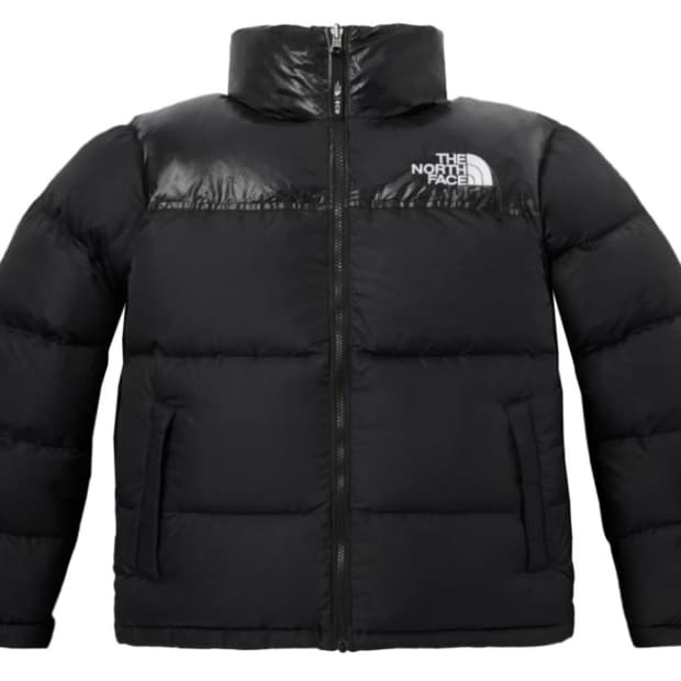 새상품)노스페이스 눕시 1996 에코 블루