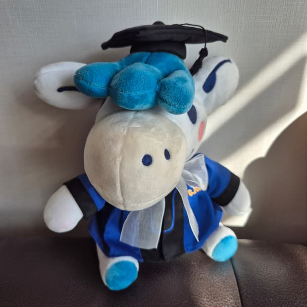 차차 충남대 졸업생 인형