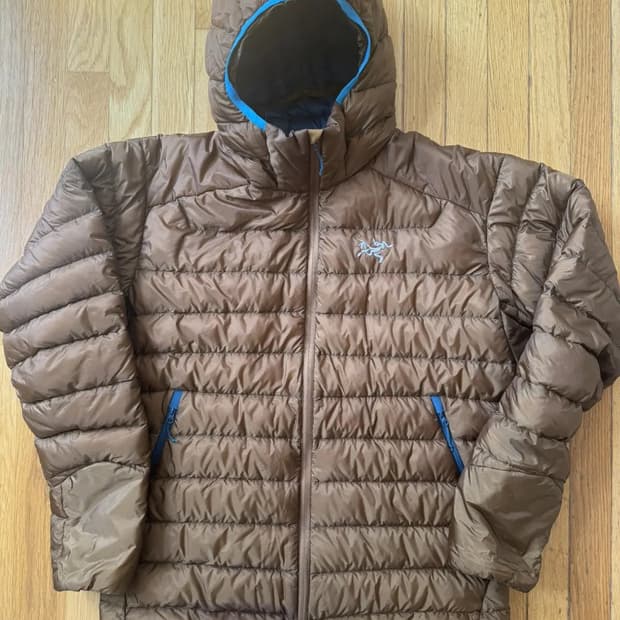 빈티지 아크테릭스 세륨 후디 라지