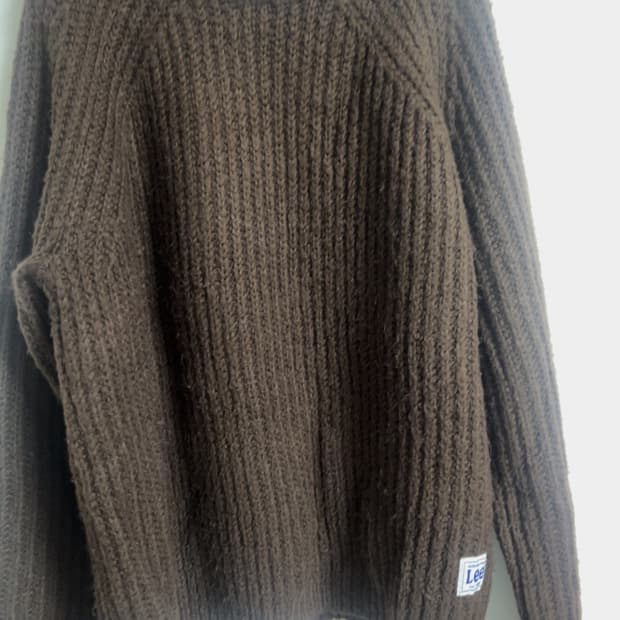 Lee 오버핏 니트 브라운