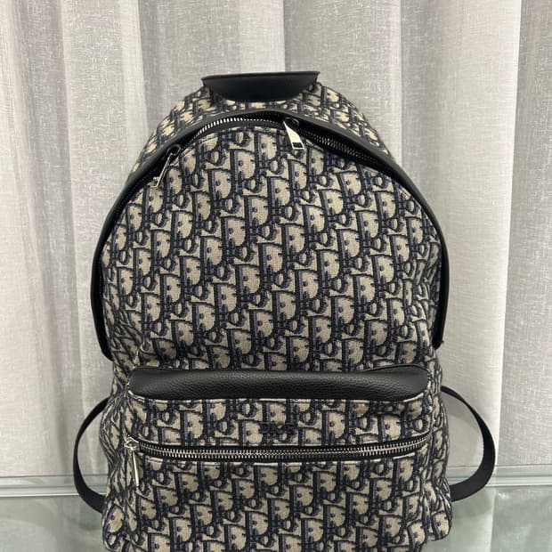 디올 오블리크 백팩