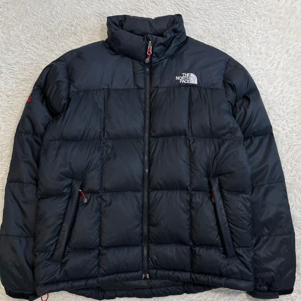 노스페이스 800 구스다운 경량 패딩/#406