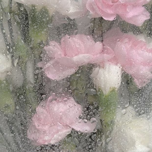 아디다스 복서 데님팬츠 블랙