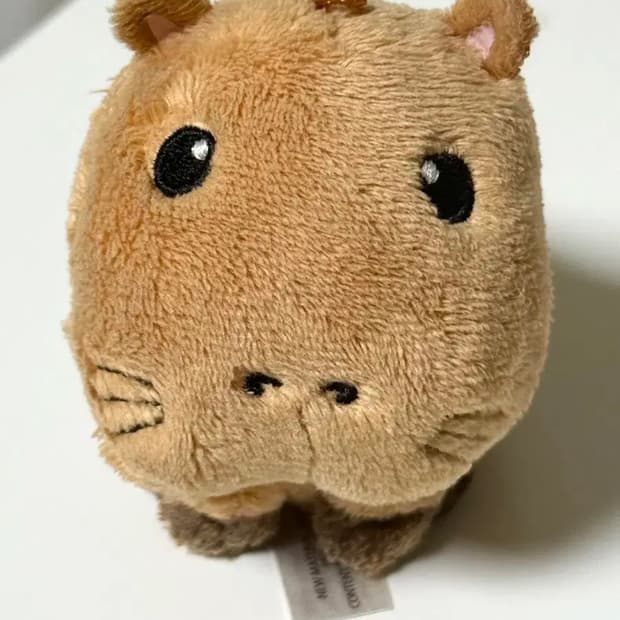 스토리오브 카피바라 기니피그 리쿠 인형