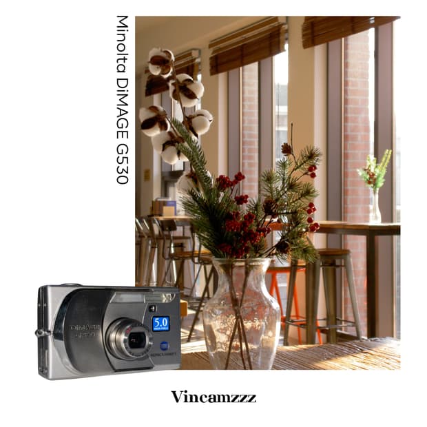 Minolta 미놀타 DiMAGE 디마지 G530 디지털 카메라