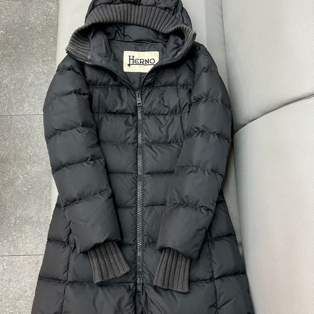 에르노 구스 패딩(42/55사이즈)