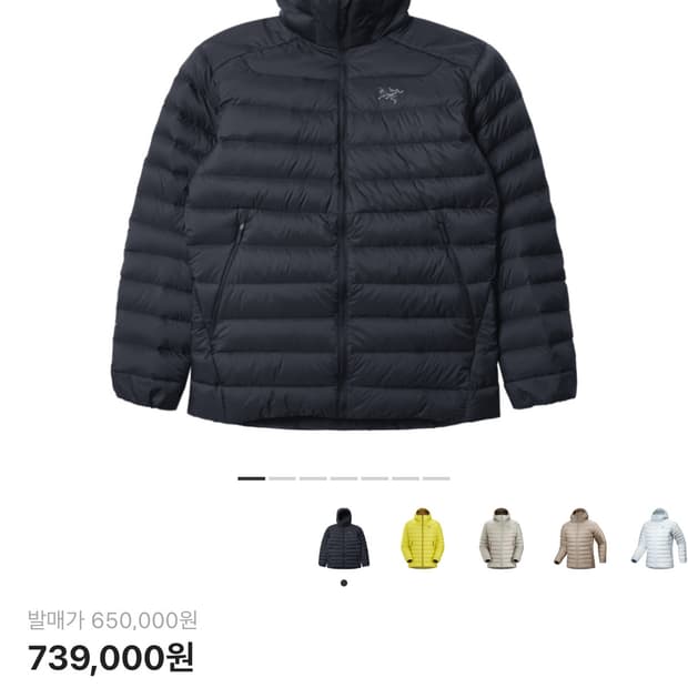 아크테릭스 세륨 후디 패딩