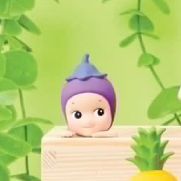 소니엔젤 하베스트 히퍼 가지