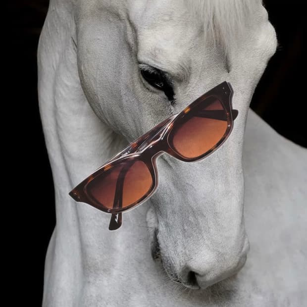 ꧁Retro square sunglasses꧂ 레트로 선글라스