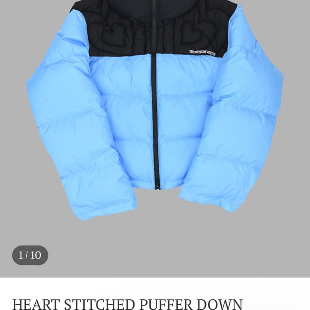 더뮤지엄비지터 패딩