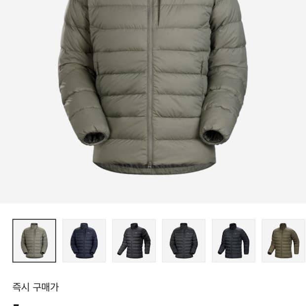 아크테릭스 토륨 자켓 포리지 L