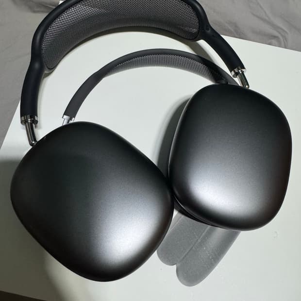 에어팟맥스1 스페이스그레이