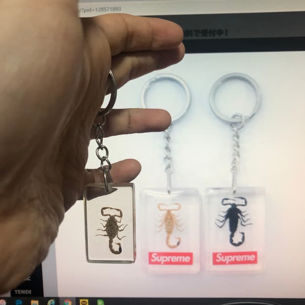 1. 실제 전갈 키홀더 키체인 투명 열쇠고리
