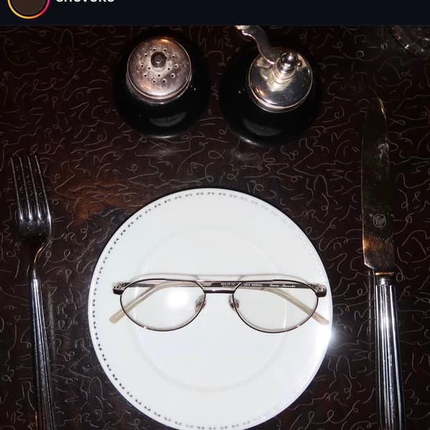 Shevoke 헤일리비버착용 안경