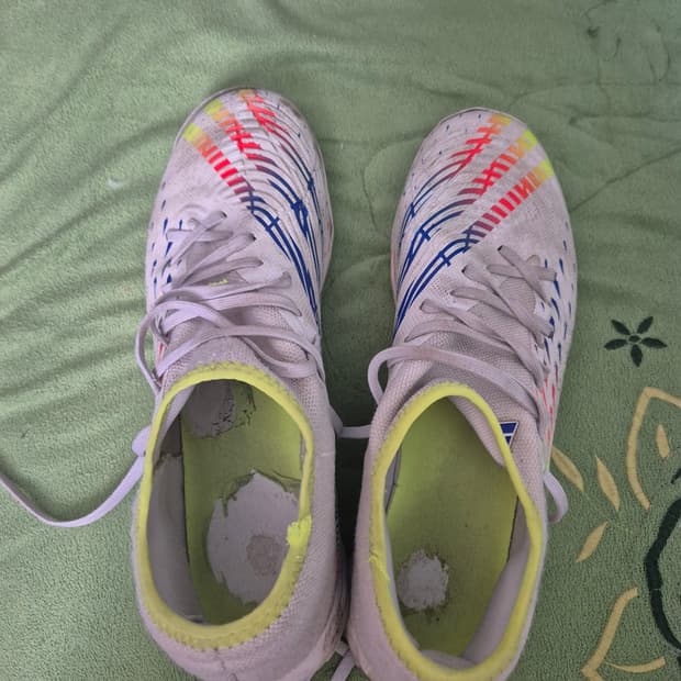 아디다스 프레데터 풋살화 275