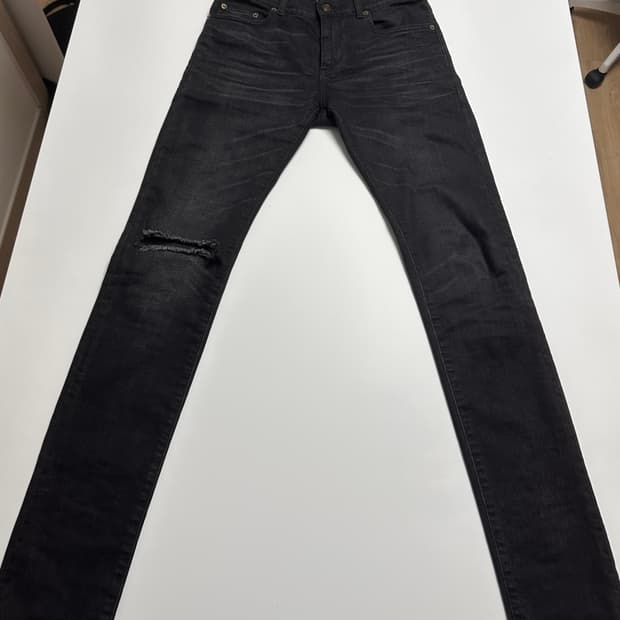 에디슬리먼 생로랑 디스진