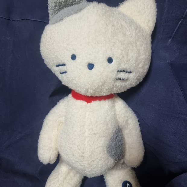 지은님 결제창