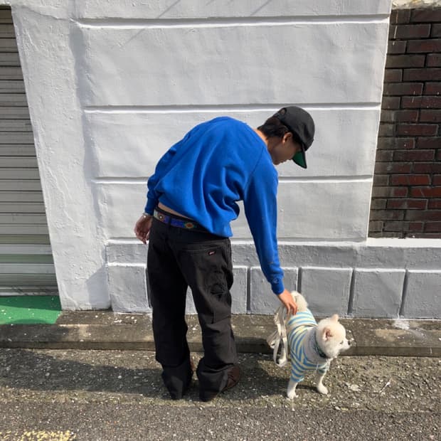 DICKIES carpenter (34X32)