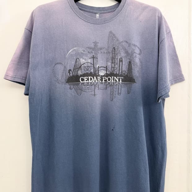 Vintage Faded Cedar Amusement Park Tee