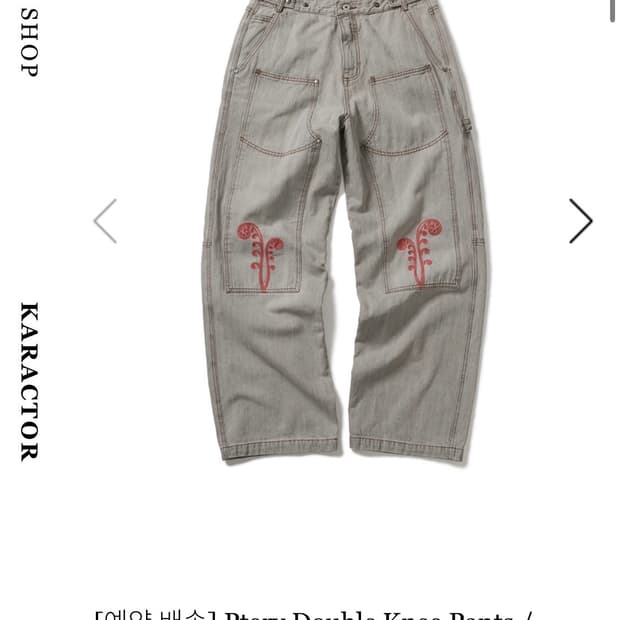 카락터 더블니 팬츠 Ptery double knee pants
