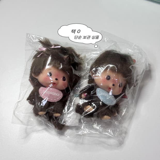 몬치치 베비치치 남아 여아