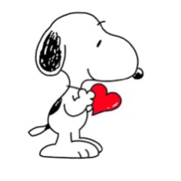 핏좋은 ksubi 슬림핏 블랙진 30