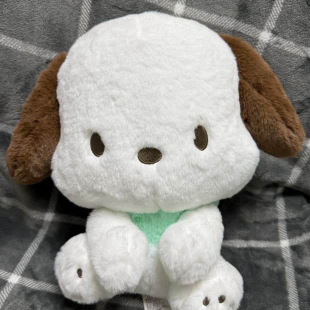 산리오 포차코 갸우뚱 BIG 인형