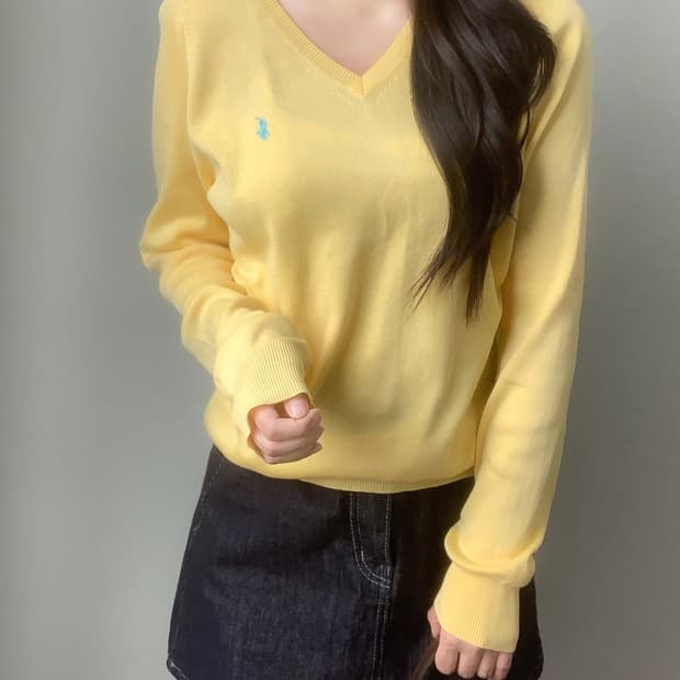 폴로 니트 