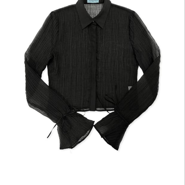 페일제이드 스완 블라우스 셔츠 swan blouse shirt 페제