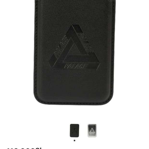 팔라스 맥세이프 - 25ss